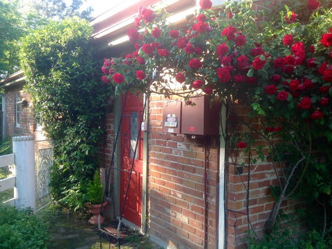 A Country Barn Retreat - Whitsundays Accommodation 2