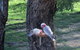 A Stanthorpe Getaway - thumb 2