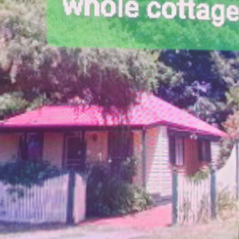 Abelia Cottages Botanical - Whitsundays Accommodation 3