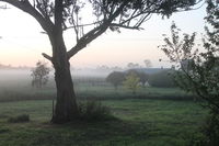 Book Heyfield Accommodation Vacations Whitsundays Accommodation Whitsundays Accommodation