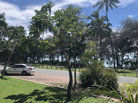 Absolute Beachfront - Whitsundays Accommodation 3