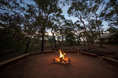 Discovery Resorts - Undara - Whitsundays Accommodation 3