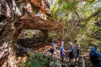 Discovery Resorts - Undara with Whitsundays Accommodation