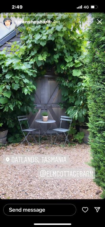 Elm Cottage Barn - Whitsundays Accommodation 4