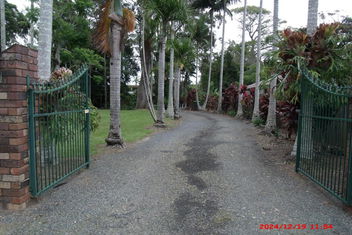Emerald Tropical Palms B & B with Whitsundays Accommodation