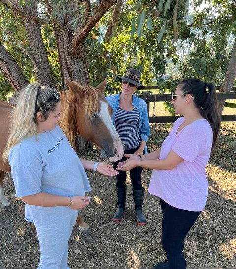 Farm Stay HARMONY Cottage At Wilindi Estate - Whitsundays Accommodation 2
