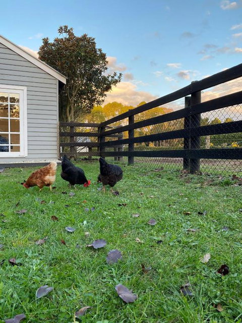 Farm Stay HARMONY Cottage At Wilindi Estate - Whitsundays Accommodation 1