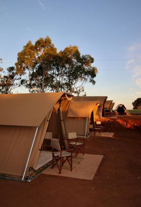 Glamping At Buckland Estate - Whitsundays Accommodation 1