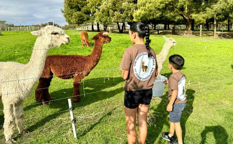 GORGE Chocolates Farmhouse - Whitsundays Accommodation 4