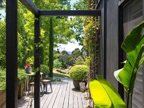 Harts Lane Stag And Millies - Whitsundays Accommodation 1