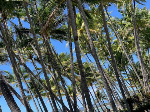 IMPORTANT MESSAGE This Property Is Not Currently Available For Holiday Letting - Whitsundays Accommodation 1