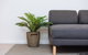 AirTrip Apartments At Woolloongabba - thumb 3