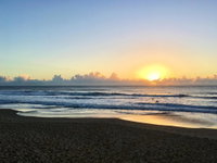 Alexandra Headland