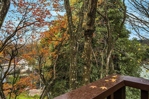 Allambee - Whitsundays Accommodation 2