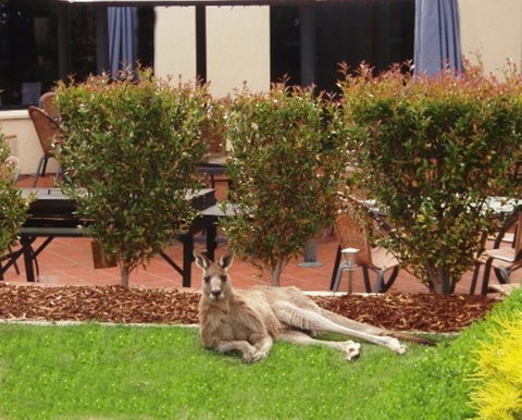 Alpha Hotel Canberra - Whitsundays Accommodation 1