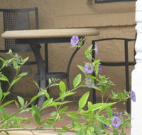 Amalie Cottage Waikerie - Whitsundays Accommodation