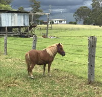 AMs Farm Stay - Whitsundays Accommodation