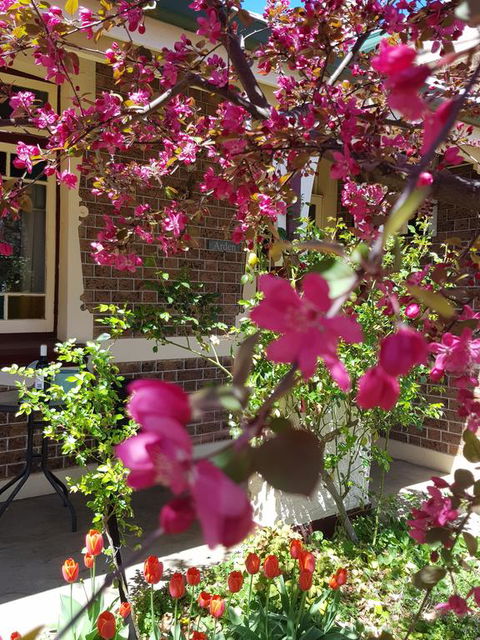 Arden On McLachlan - Whitsundays Accommodation 3