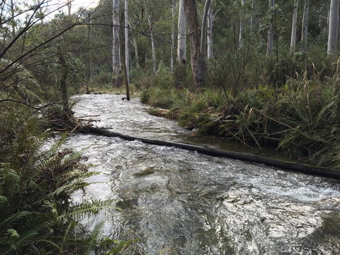 Ariane - Whitsundays Accommodation 3