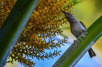 Book Karumba Accommodation Vacations Whitsundays Accommodation Whitsundays Accommodation