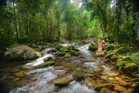 Misty Mountains Hideaway - Whitsundays Accommodation 0