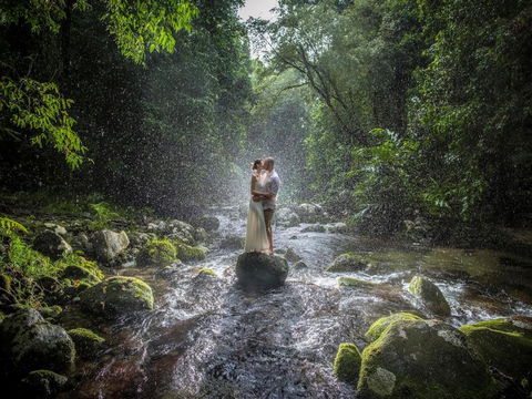 Misty Mountains Hideaway - Whitsundays Accommodation 3
