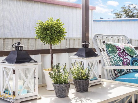 Morton Cottage At Lemon Tree - Whitsundays Accommodation 2