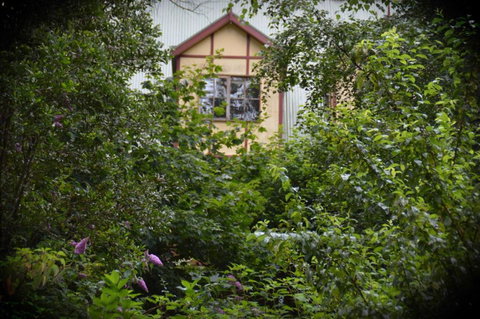 Mountain Lodge - Whitsundays Accommodation 2