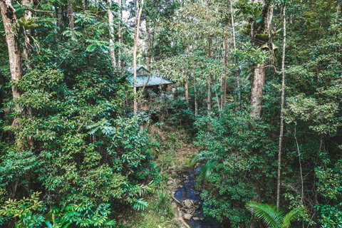 Narrows Escape Rainforest Retreat - Whitsundays Accommodation 0