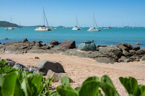 NEW! Gorgeous 2BR Apartment With Stunning Ocean Views! - Whitsundays Accommodation 1