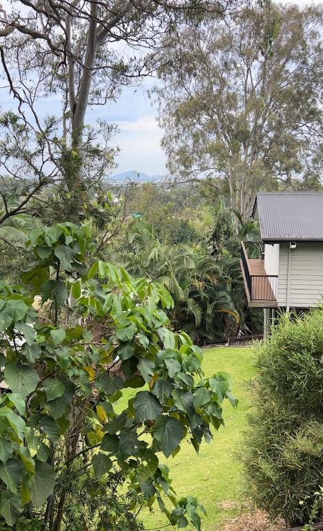 New - Our Treehouse Near Alex Beach - Whitsundays Accommodation 2