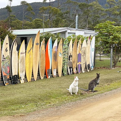 NOFOMO AT ADVENTURE BAY - Whitsundays Accommodation 0