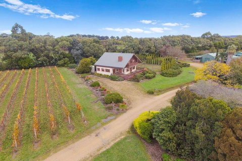 Northway Downs Estate Vineyard - Whitsundays Accommodation 3