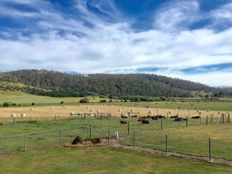 Old Entally Farm - Whitsundays Accommodation 1