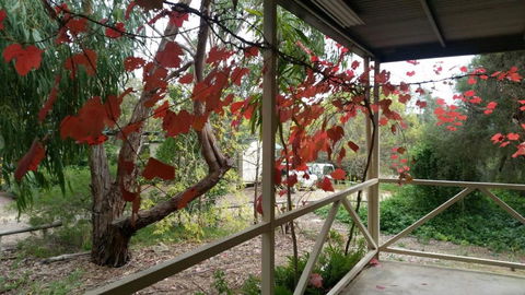 Padthaway Caravan Park - Whitsundays Accommodation 1