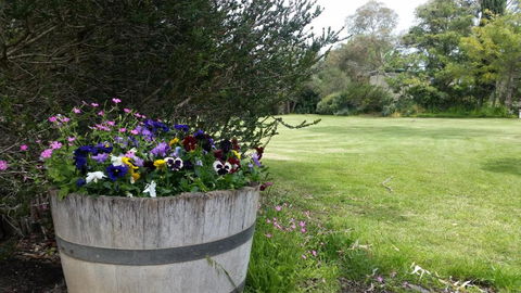Padthaway Caravan Park - Whitsundays Accommodation 0