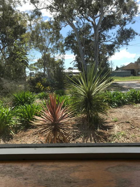 Paradise Grove - Whitsundays Accommodation 2