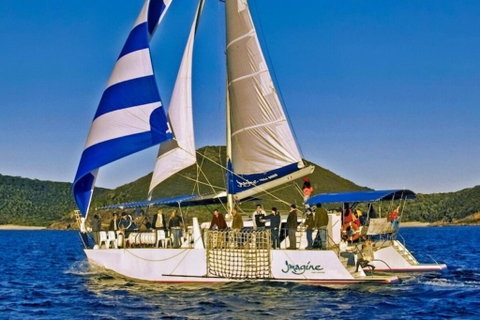 Peace In Paradise Near Nelson Bay- Waterviews, Spa, Adventures - Whitsundays Accommodation 3