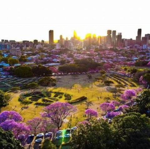 Perfect Haven In Spring Hill 2B1B And Parking - Whitsundays Accommodation 2