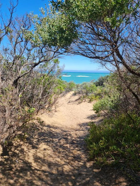 PIECE OF PARADISE, Huge 4 Bedroom Haven - Whitsundays Accommodation 0