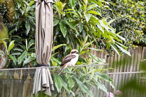 Quaint Queen Room - Central Location At Pymble - Shared Bathroom - Whitsundays Accommodation 1