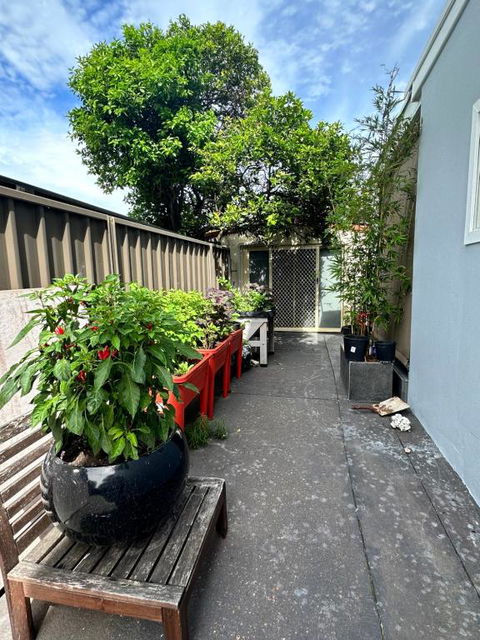 Private, Local Living Studio In Mascot, Airport - Whitsundays Accommodation 2