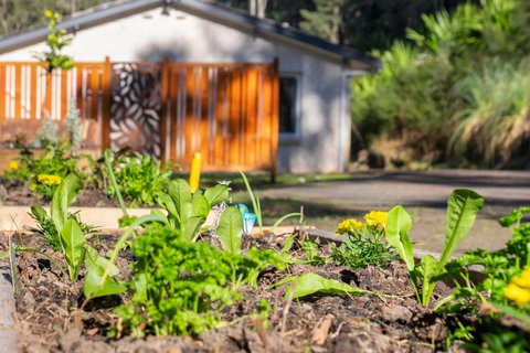 Pure Valley Estate - Whitsundays Accommodation 3