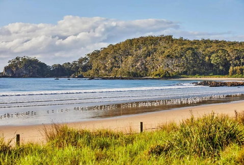 Rare Broulee Beachfront House - Whitsundays Accommodation 3
