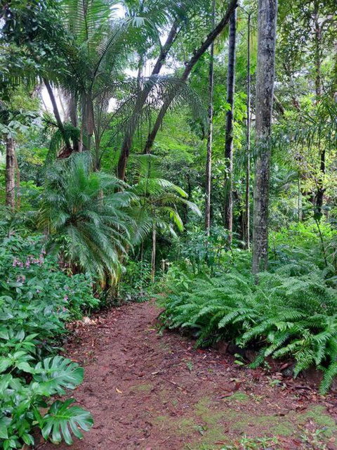 Rainforest Retreat-Fireplace-BBQ-3 Acres- - Whitsundays Accommodation 0