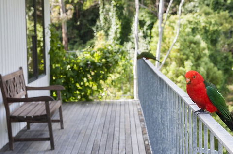 At Riverside - Whitsundays Accommodation 3