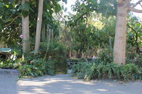 Book Macclesfield Accommodation Vacations Whitsundays Accommodation Whitsundays Accommodation