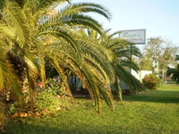 Book Winton Accommodation Vacations Whitsundays Accommodation Whitsundays Accommodation