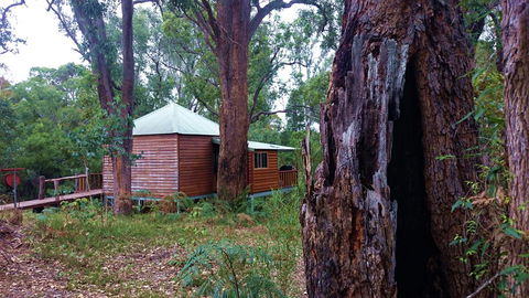 Barrabup Sanctuary BirdHide - Whitsundays Accommodation 0