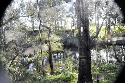 Barrabup Sanctuary BirdHide - Whitsundays Accommodation 1